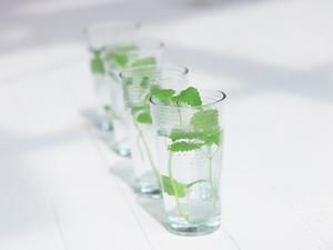 極上のモツが味わえる博多のもつ鍋専門店「もつ将」