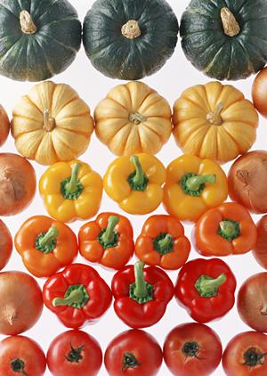 料理の幅を広げる香辛料シーズニング