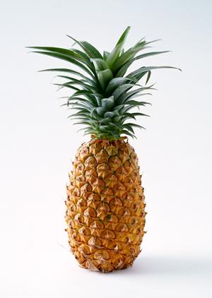 兵庫県のこだわりのお米をお取り寄せ