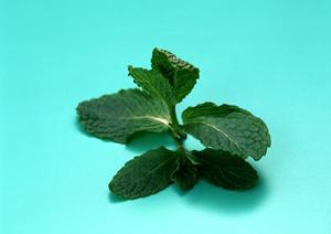 喜多方ラーメン 坂内 亀有店 – 本場の味を楽しむ